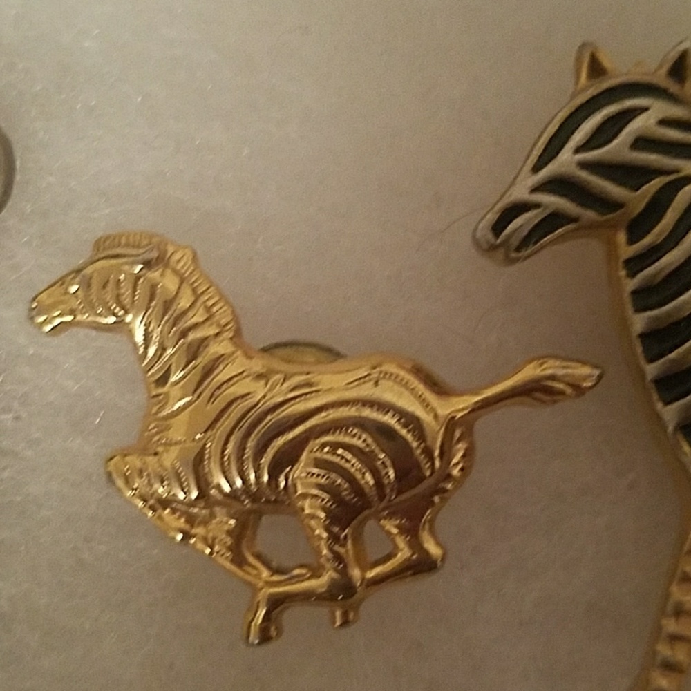 Zebra Pins - image 3